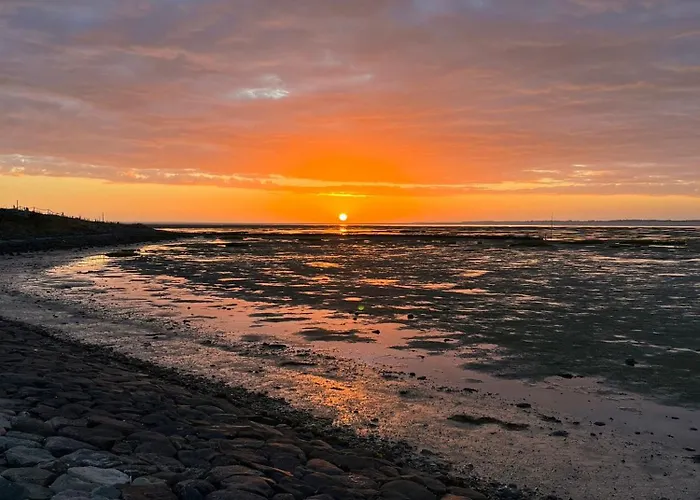 Gaestehaus Bi De Ley 펜션 *