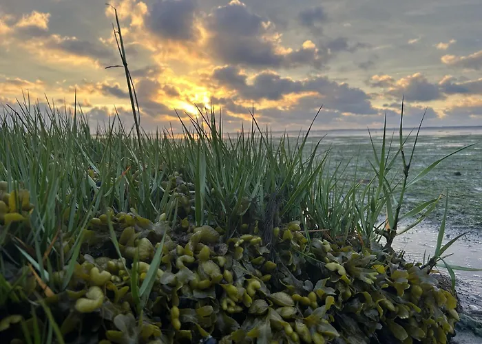 펜션 Gaestehaus Bi De Ley *