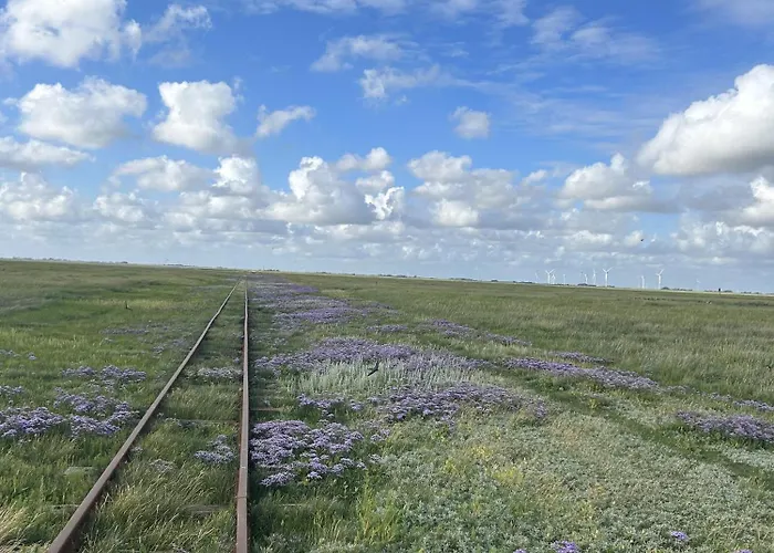 Gaestehaus Bi De Ley *